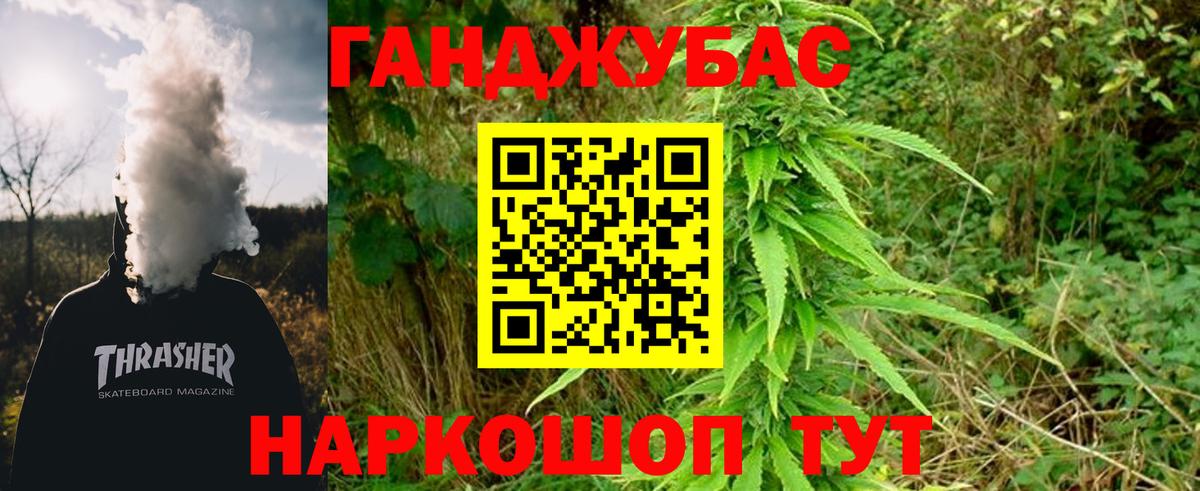Конопля сатива Озёры